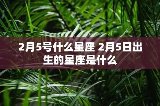 2月五号是什么星座（2月5日出生的人属于哪个星座）