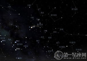 10月3是什么星座（10月3日出生的人属于哪个星座）