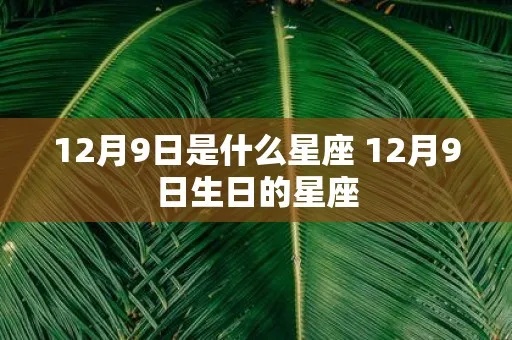 12.9是哪个星座,12月9日生日的人是什么星座