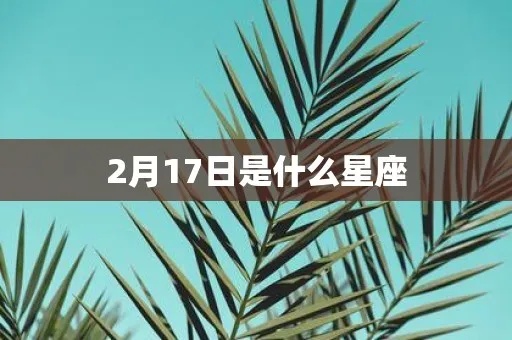 2月17日是什么星座（2月17日生日的人属于什么星座）