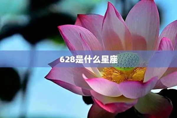 628什么星座（根据生日查询对应星座）