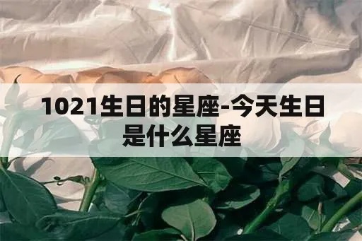 1020生日是什么星座的，1020生日星座特点解析