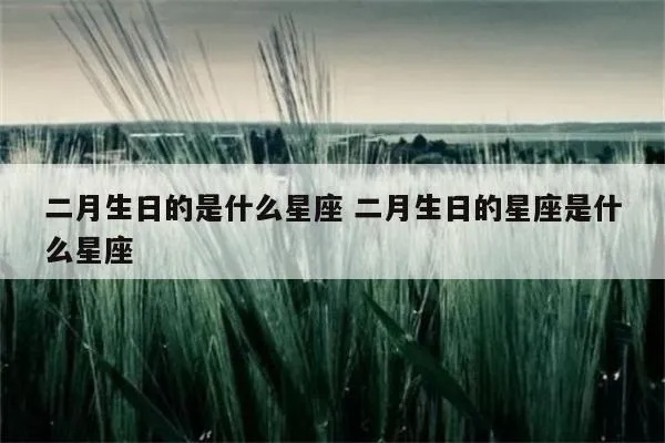 2月出生的星座是什么，2月份生日星座解析