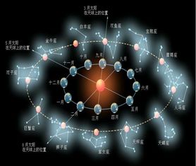 12.3是什么星座（12.3出生的人属于什么星座？）