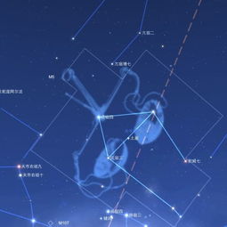 8月7号什么星座（8月7日出生人的星座特点分析）