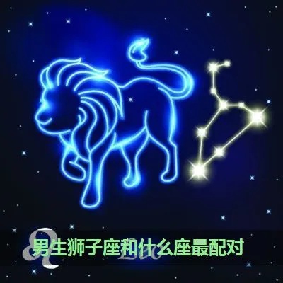 星座配对什么星座最克狮子座，十二星座兼容性分析