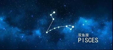 8月19日是什么星座（8月19日星座运势解析）