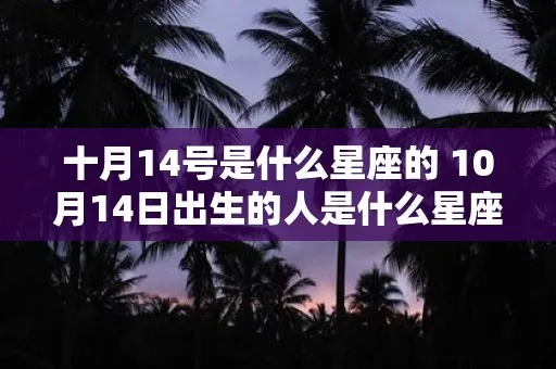 十一月十四号是什么星座，十一月十四号出生的人是什么星座