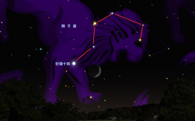 十一月十四号是什么星座，十一月十四号出生的人是什么星座