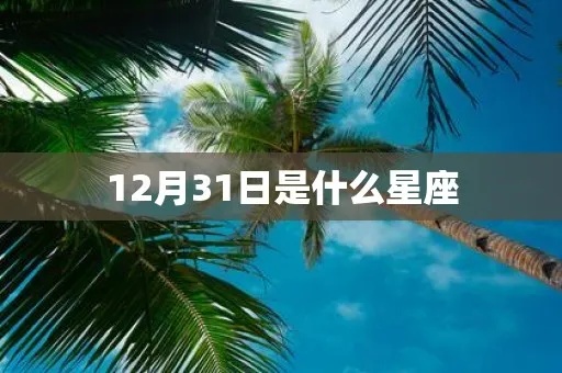 12月31号是什么星座（12月31号出生的人属于哪个星座）