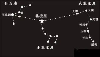 北极星位于什么星座（探索北极星在星座中的位置）