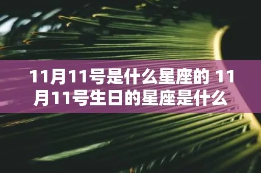 11.09生日星座是什么？11.09星座性格特点解析