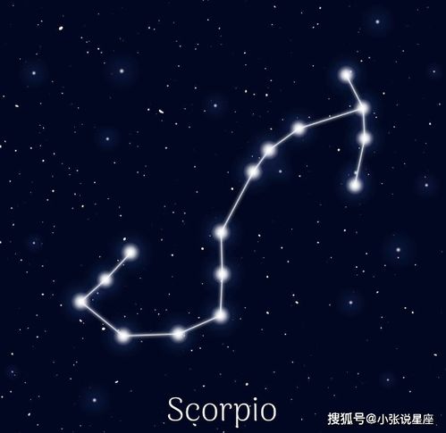 二月十五是什么星座（探秘二月十五日出生的人适合的星座）