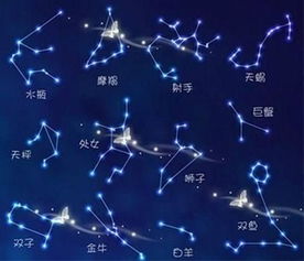 二月二出生的人是什么星座,二月二生日星座特点解析