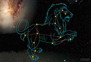狮子座的克星是什么星座（十二星座配对解析）