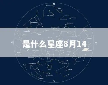 八月十四什么星座（八月十四号出生的人属于哪个星座）