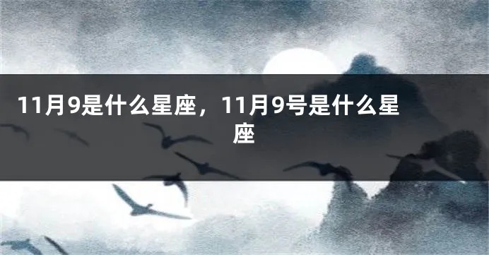 11月9日是什么星座（11月9日出生的人属于哪个星座）