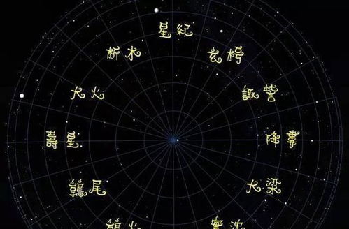 阴历12月12日是什么星座，12月12日生日星座特点分析