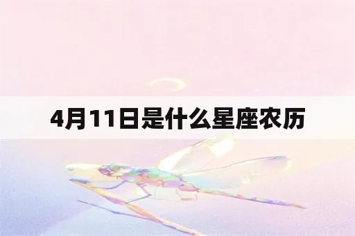 农历11月24日是什么星座（星座查询及解析）