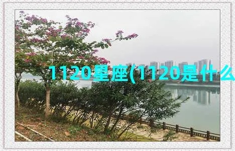 1120是什么星座,1120出生的人属于什么星座