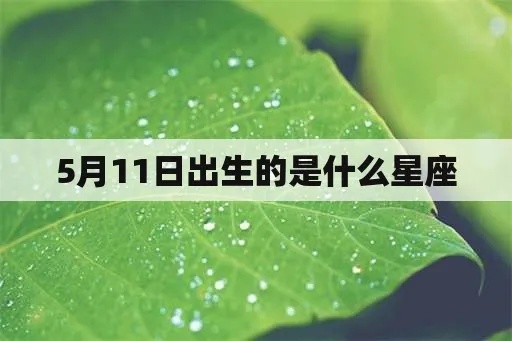 5月11日出生的人是什么星座，5月11日星座运势分析