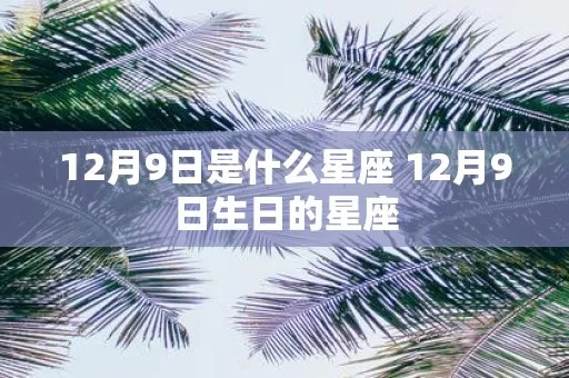 12月九号是什么星座,12月九号生日星座查询