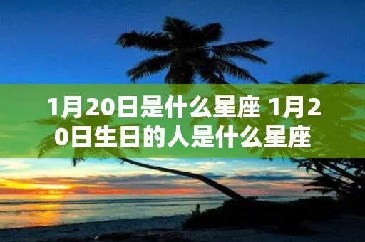 1月20日是什么星座的，1月20日生日星座特点解析