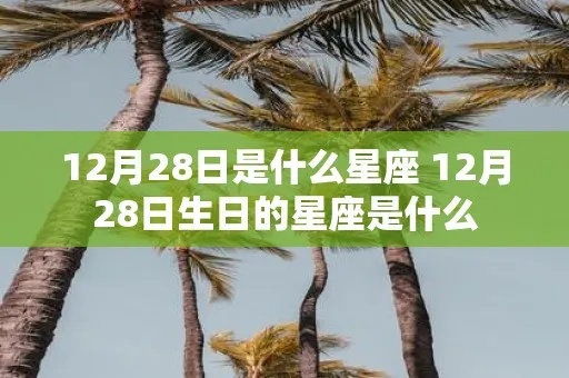 12月28日是什么星座（12月28日生日的人属于什么星座）