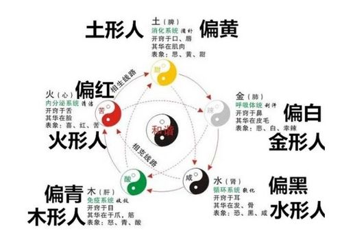 夏天出生的星座有哪些，夏季星座性格特点解析