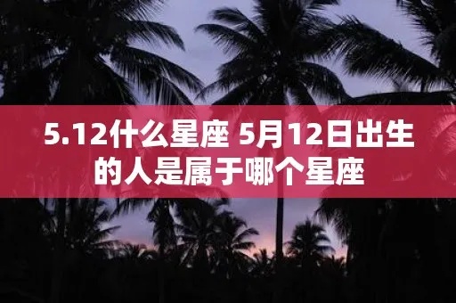 12.5什么星座（12.5出生的人属于什么星座）