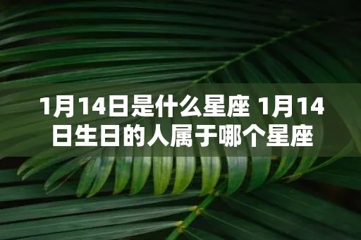 1月14日是什么星座？1月14日生日星座特点解析