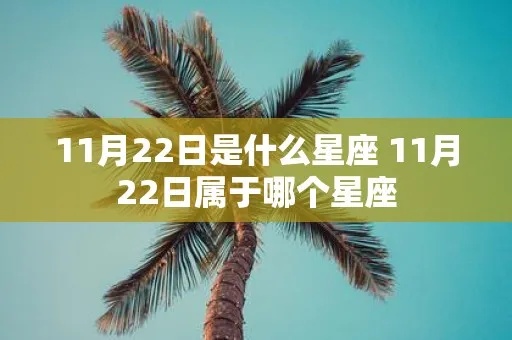 11月22日出生的是什么星座,11月22日星座特点解析