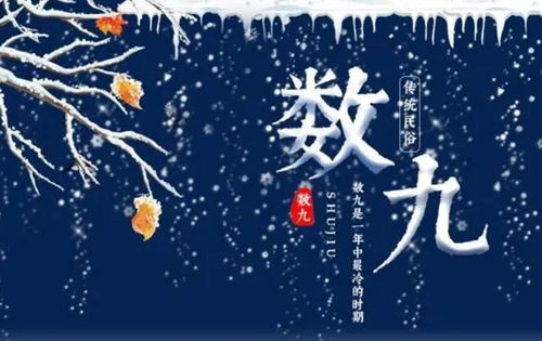 九月一日是什么星座（九月一日生日的人属于什么星座）