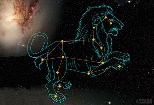 阳历6月10日是什么星座（狮子座还是双子座？）