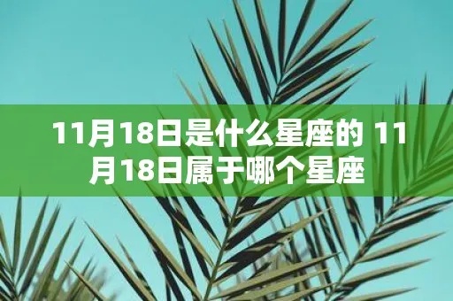 11月18日是什么星座，11月18日生日有什么特点