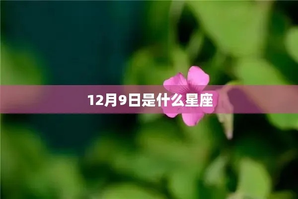 12月9日是什么星座，12月9日星座性格特点分析