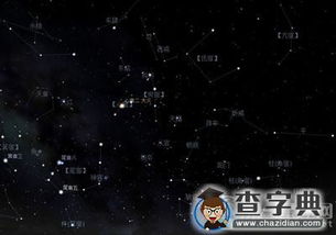 11月9号是什么星座？11月9号出生的人是什么星座？