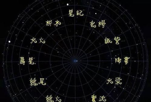 313是什么星座（探索313号星座的神秘）