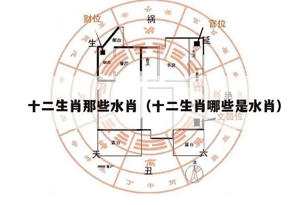 12生肖谁是水肖 十二生肖谁代表水肖