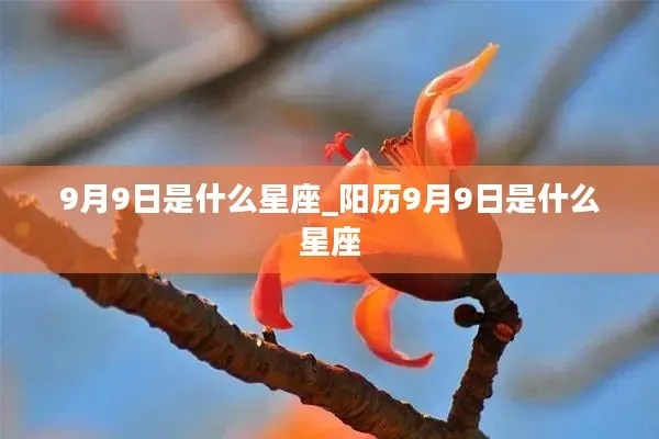 阳历9月9日是什么星座（揭秘9月9日的星座特征）