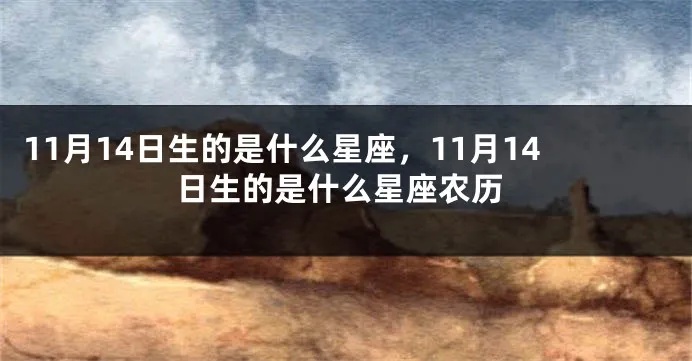 农历11月14日是什么星座（星座查询）