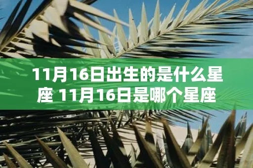 11月16日出生的人是什么星座，11月16日星座性格分析