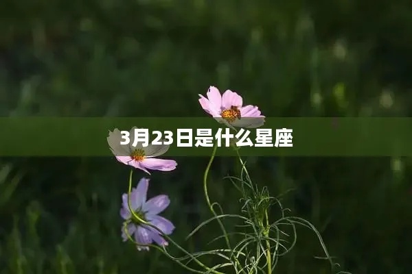 3.23是什么星座（3月23日出生的人属于什么星座）