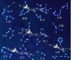 农历12月19日是什么星座,12月19日星座是什么，12月19日生日星座特点