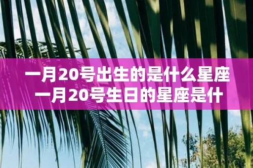 一月20号出生的人是什么星座，一月20号星座特点解析