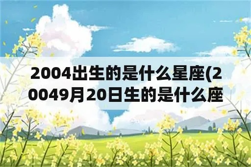 2004年是什么星座（2004年出生人的星座解析）