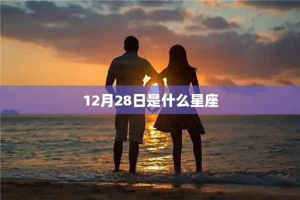 阳历12月28日是什么星座（星座查询）