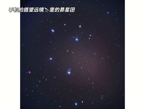 八月七日是什么星座（八月七日出生的人属于什么星座）