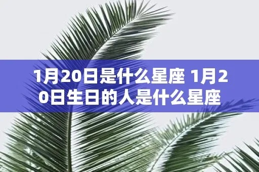 1月20日什么星座（1月20日生日的人属于哪个星座）