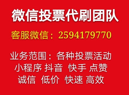 人工投票价格高吗价格 人工投票看得出来吗